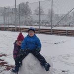 phoca_thumb_m_veverky na snhu 8 Fotogalerie